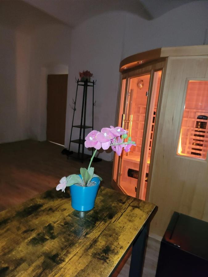 Chateau Moravany - Apartmany, Teepee A Wellness Ronov Nad Doubravou Екстер'єр фото